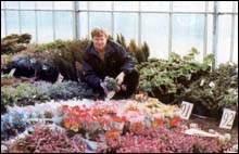 stan green inspects a selection of plants